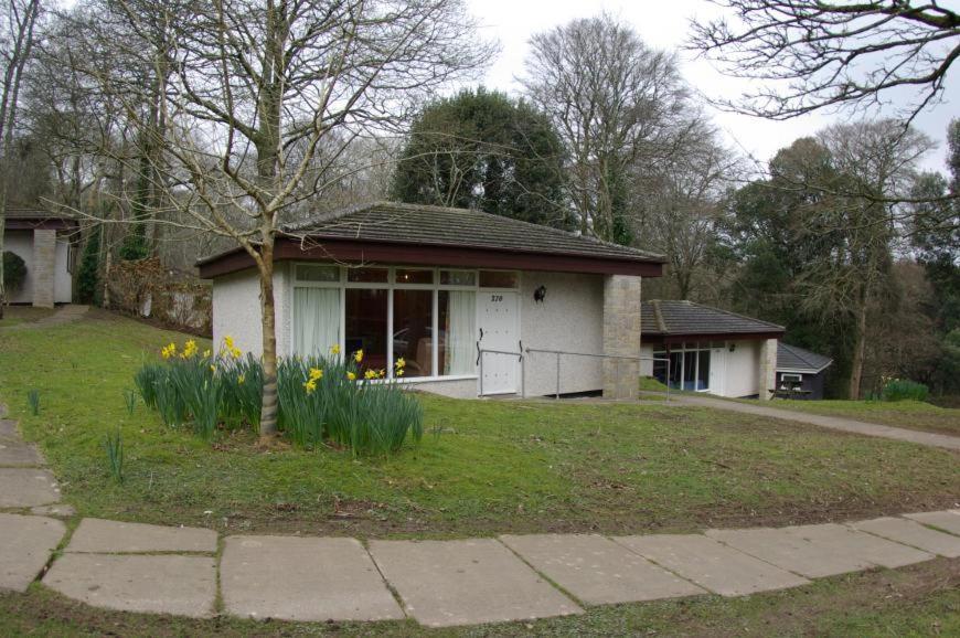 St. Ives Holiday Village Exterior foto